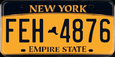NY license plate FEH4876