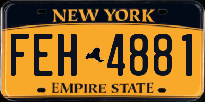 NY license plate FEH4881