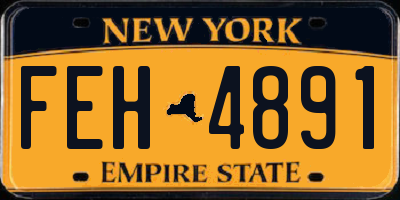 NY license plate FEH4891
