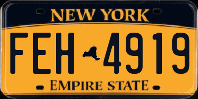 NY license plate FEH4919