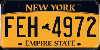 NY license plate FEH4972