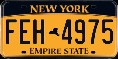 NY license plate FEH4975