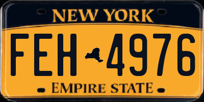 NY license plate FEH4976
