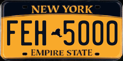 NY license plate FEH5000