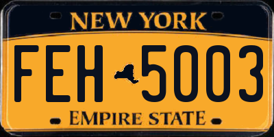 NY license plate FEH5003