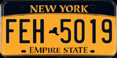 NY license plate FEH5019