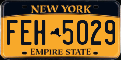 NY license plate FEH5029
