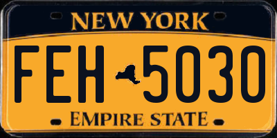 NY license plate FEH5030