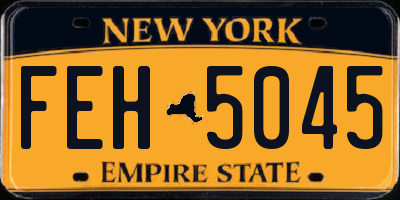 NY license plate FEH5045