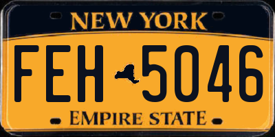 NY license plate FEH5046