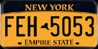 NY license plate FEH5053