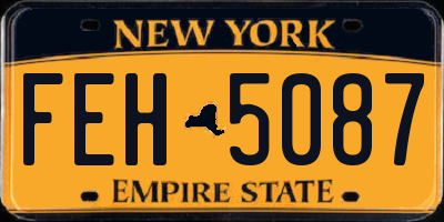 NY license plate FEH5087
