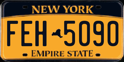 NY license plate FEH5090