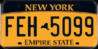 NY license plate FEH5099