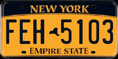 NY license plate FEH5103