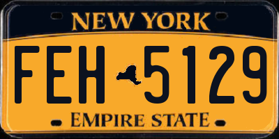 NY license plate FEH5129