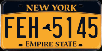NY license plate FEH5145
