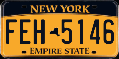 NY license plate FEH5146