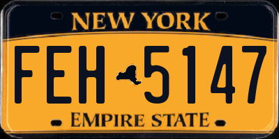 NY license plate FEH5147