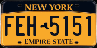 NY license plate FEH5151
