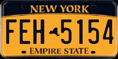NY license plate FEH5154