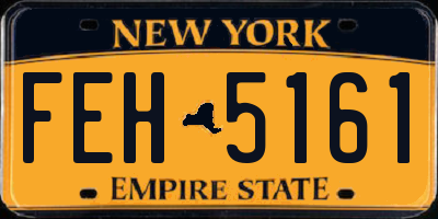 NY license plate FEH5161