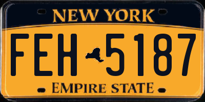 NY license plate FEH5187