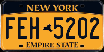 NY license plate FEH5202
