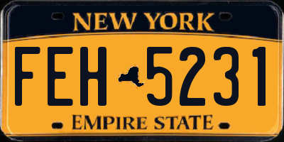 NY license plate FEH5231