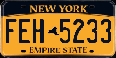 NY license plate FEH5233