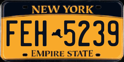 NY license plate FEH5239