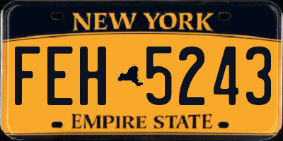 NY license plate FEH5243