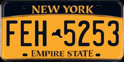 NY license plate FEH5253