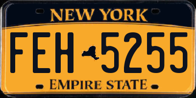 NY license plate FEH5255