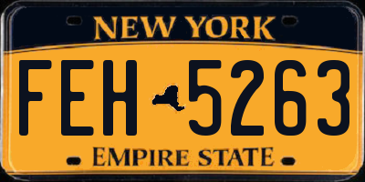 NY license plate FEH5263