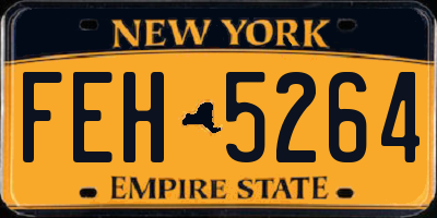NY license plate FEH5264