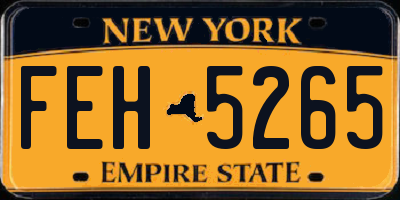 NY license plate FEH5265