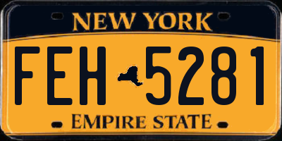 NY license plate FEH5281