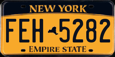 NY license plate FEH5282