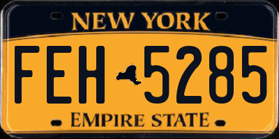 NY license plate FEH5285