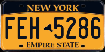 NY license plate FEH5286