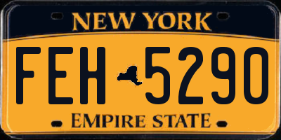 NY license plate FEH5290
