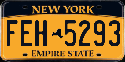 NY license plate FEH5293