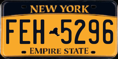 NY license plate FEH5296