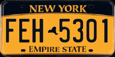 NY license plate FEH5301