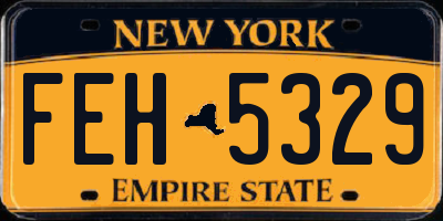 NY license plate FEH5329