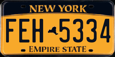 NY license plate FEH5334