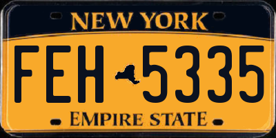NY license plate FEH5335