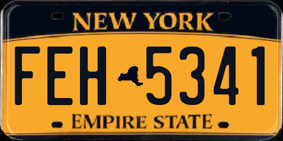 NY license plate FEH5341