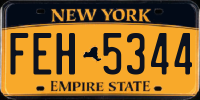 NY license plate FEH5344